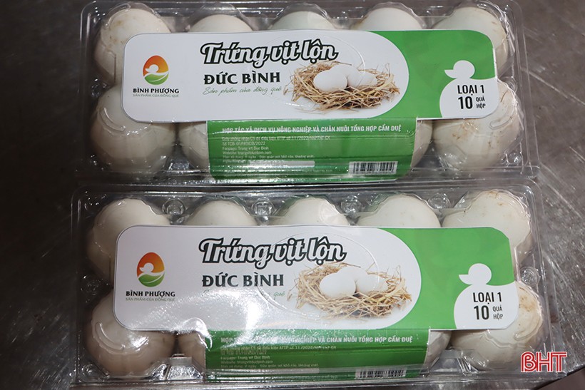 Trứng Vịt lộn Đức Bình